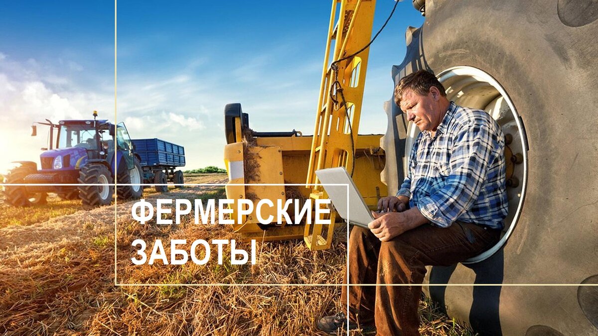 Фермерские заботы и задачи