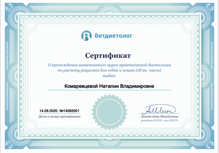 Первый пробный