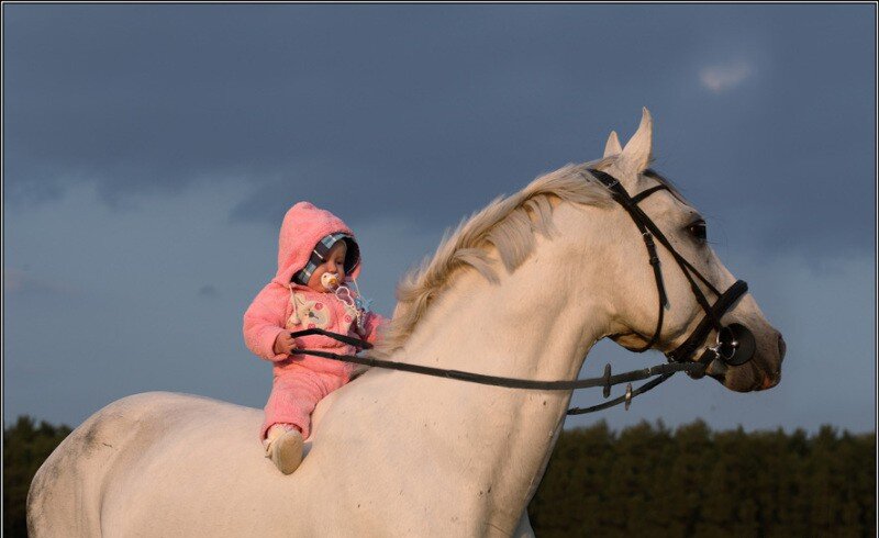 Пад для езды без седла Ride-On-Pad Blue Horse для пони голубой с лошадками