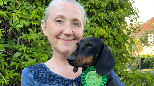 Благодарная такса. Такса блоггер симба. Такса блоггер симба. Бигль и такса. Такса блоггер симба.