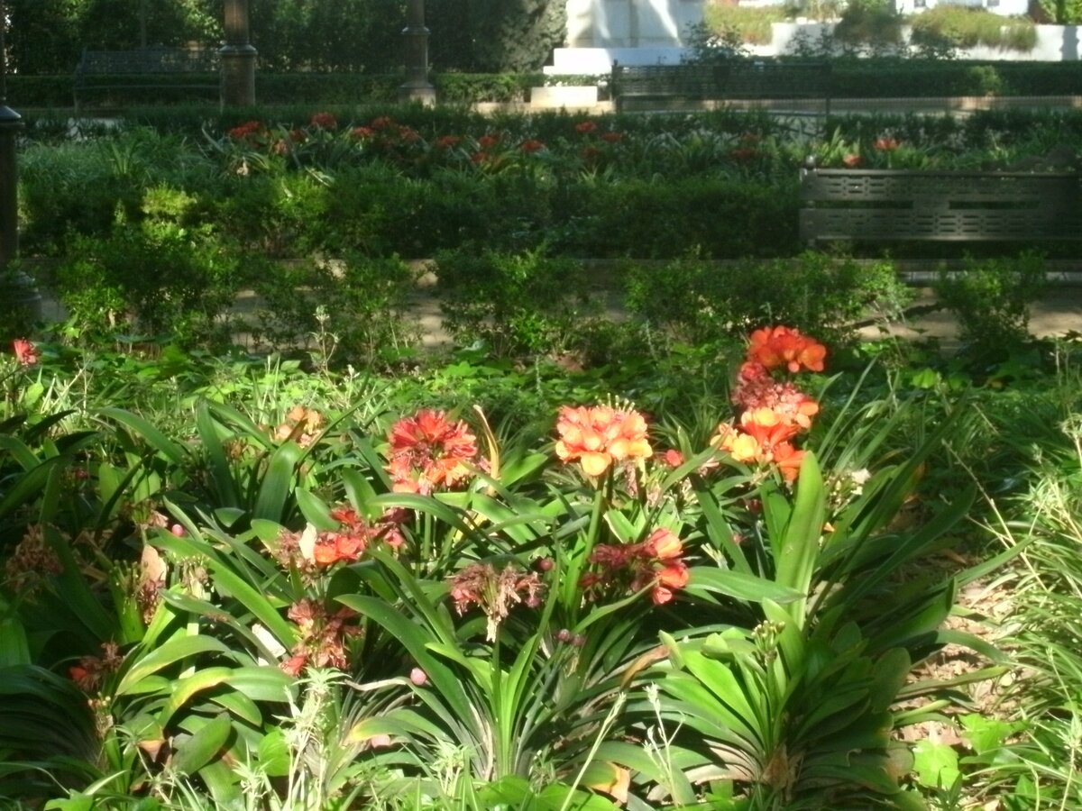 Испания. Севилья. Фото автора.