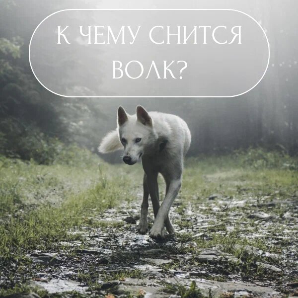 Шаблон из dashboard.supa 