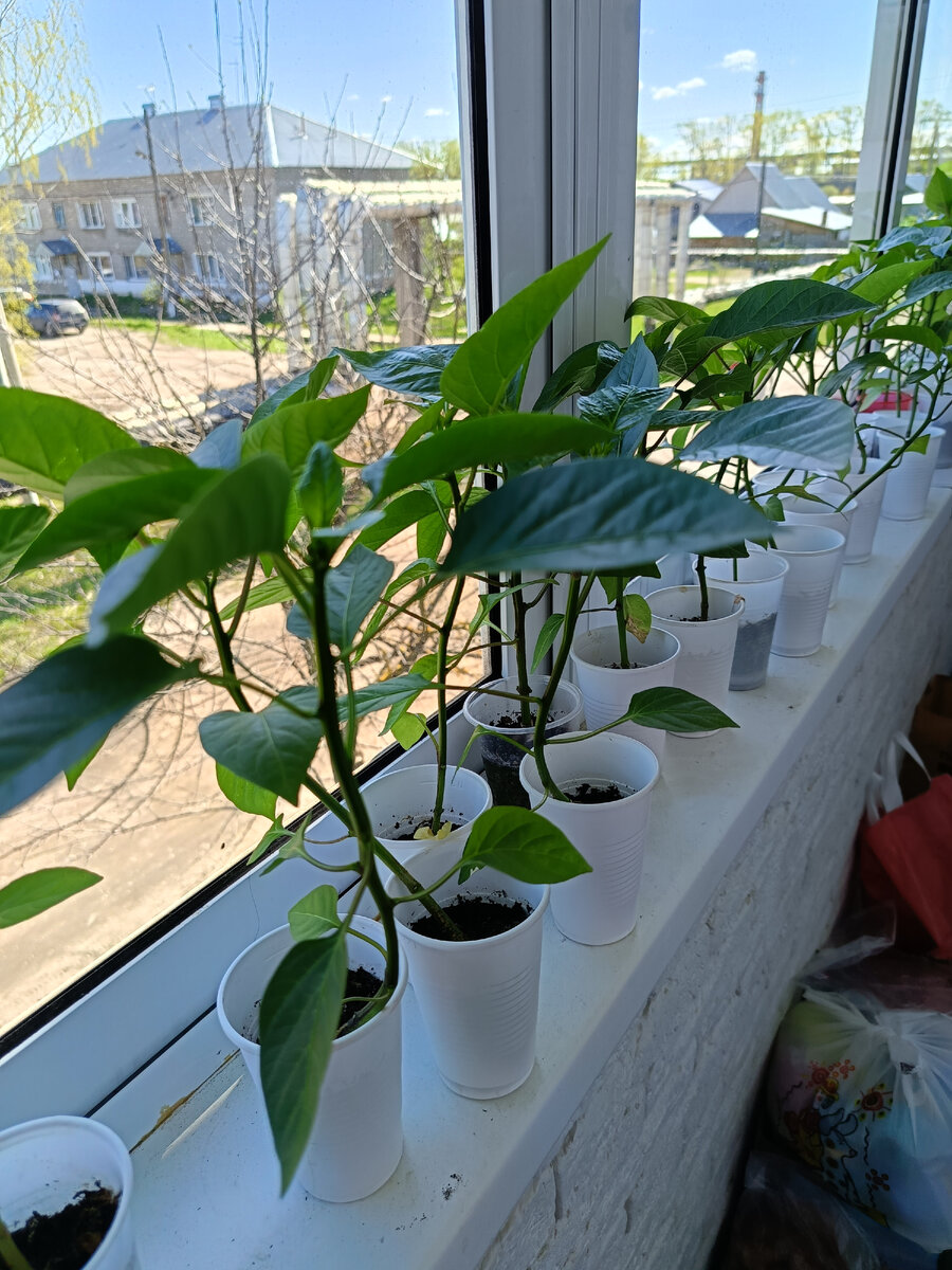 Фото автора статьи. 