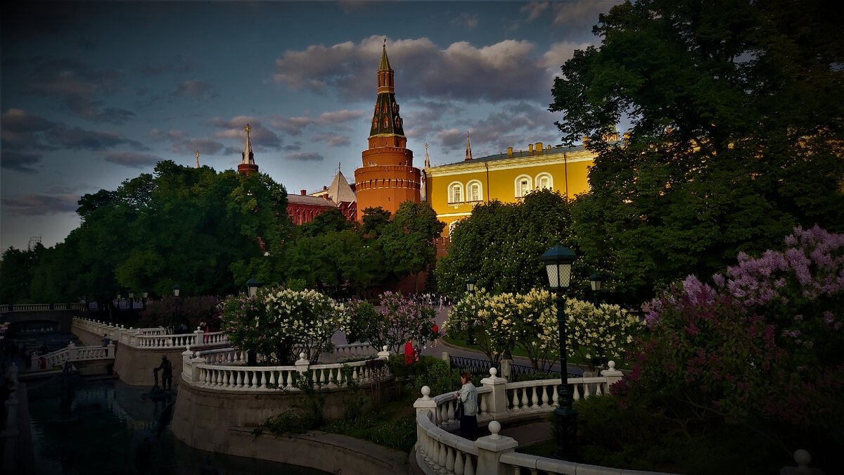 доброе утро лето июнь. цветы в саду. парк сирени в измайлово. парк баумана берсо. гум цветочный фестиваль 2022.