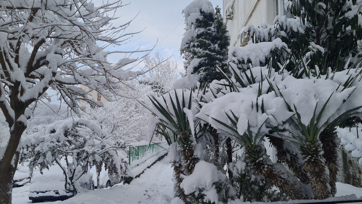 17 марта 2022 года, Адлер. Из личного архива.