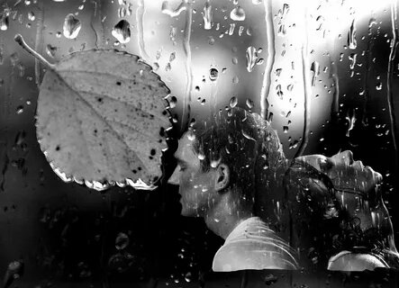 Картинка из открытых источников Яндекса.