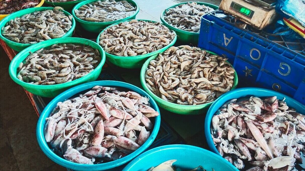     Росимущество собирается уничтожить почти 130 тонн морепродуктов. Об этом сообщается в лоте № 0167100002323000021 на сайте Госзакупки.