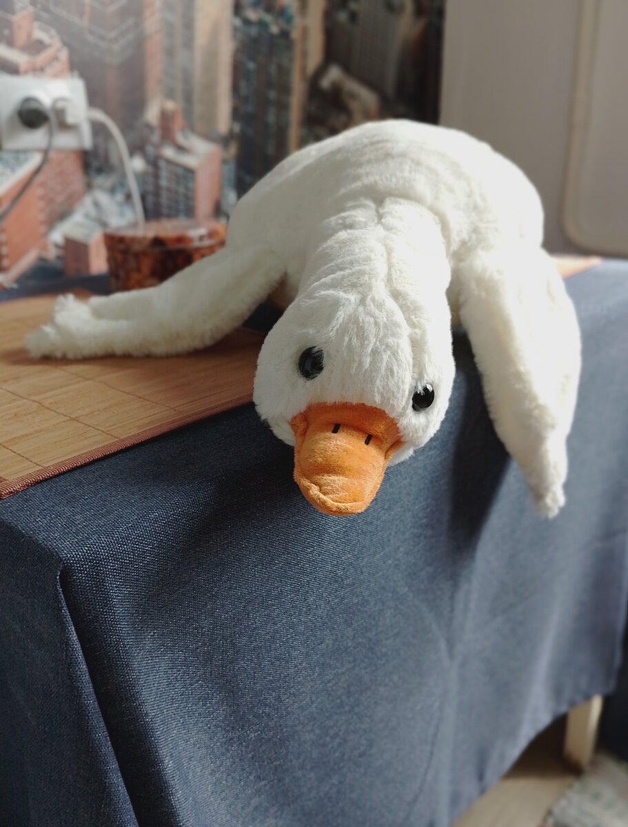 Гусь автора.