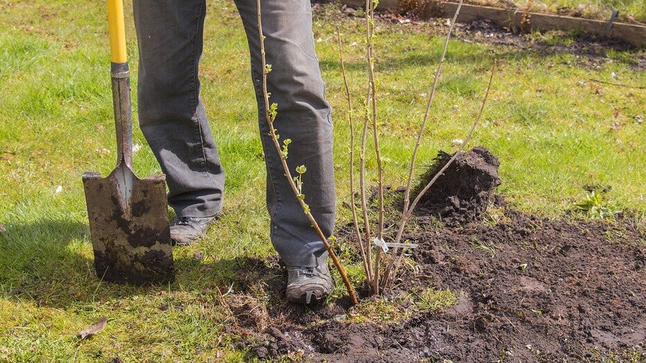 ShutterStock/Fotodom.ru 