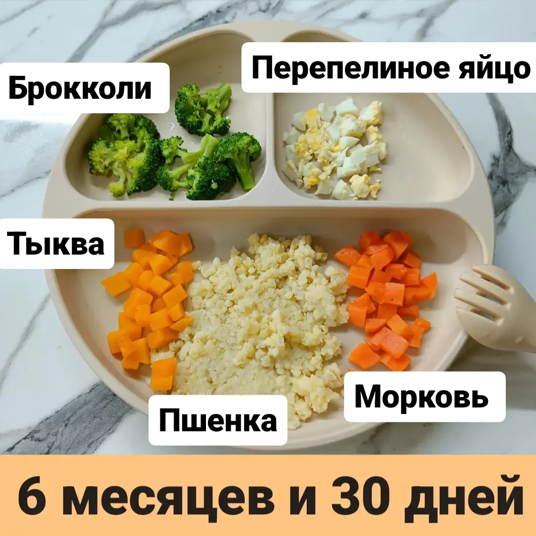 Пример тарелки в 6 месяцев 