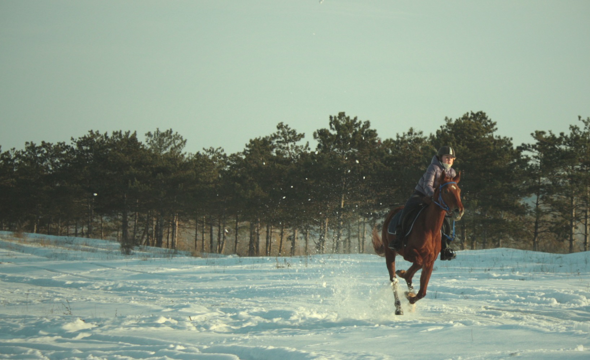 Скачу верхом на кобыле Аллее 
