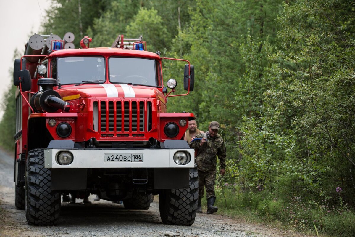    В Сургутском районе тушат лесной пожар на площади 15 гектаров