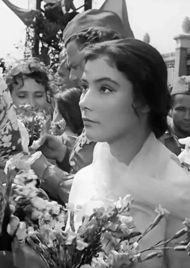 Кадры из фильма "Летят журавли", 1957 год