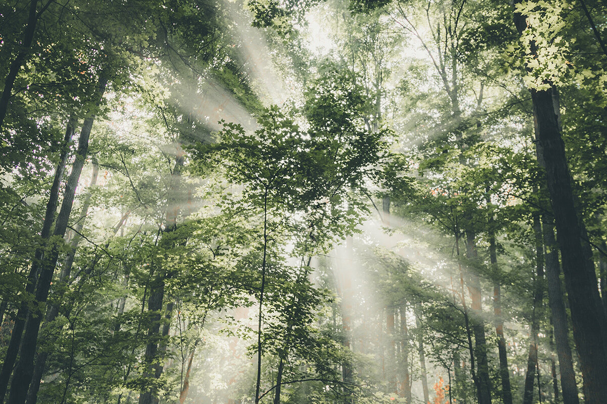    Фото: Maxx Gong/Unsplash