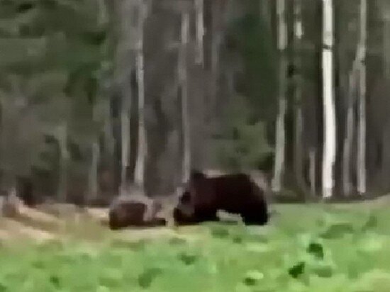     Скриншот видео "Подслушано Балахта"/VK