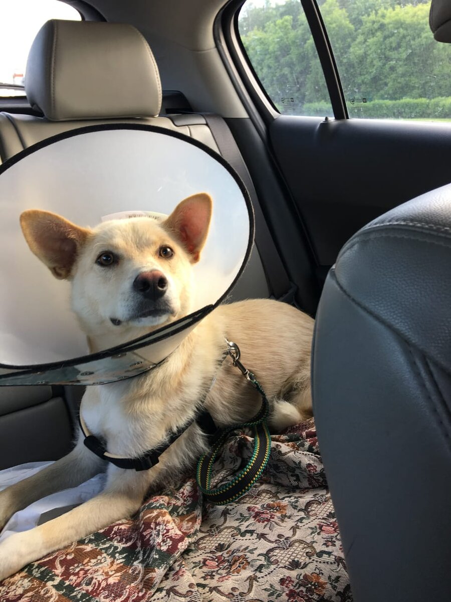 Один в юности, на лечении.