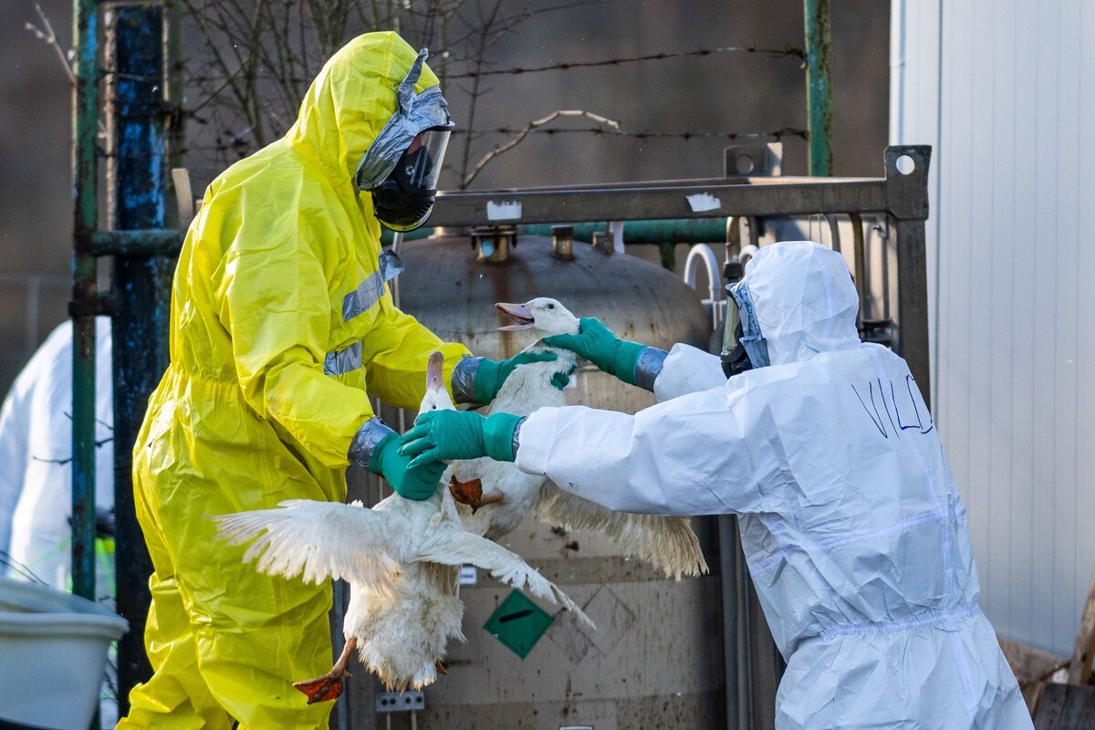 Фото: TASS / Zuma