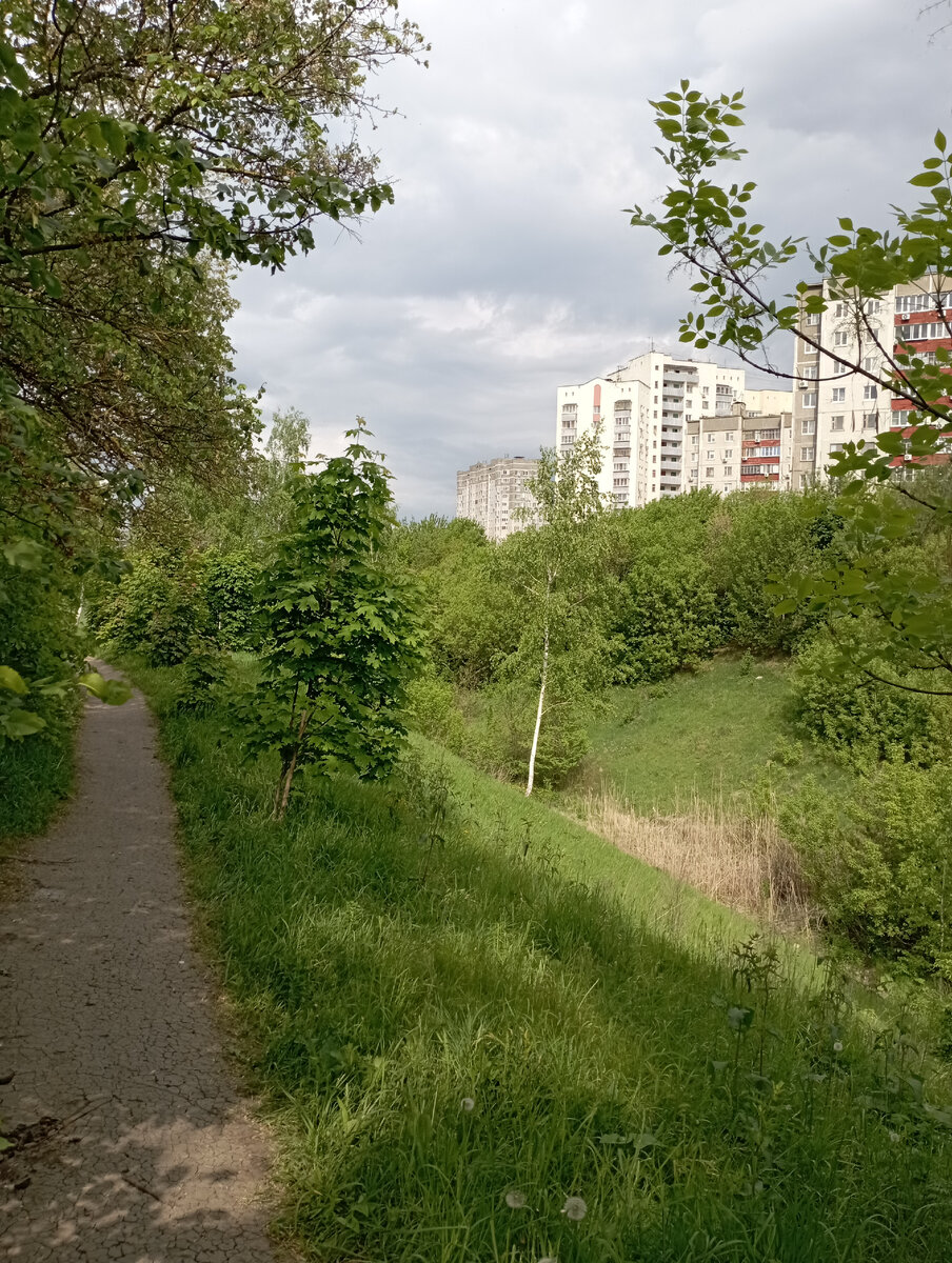 Снова парк Победы.