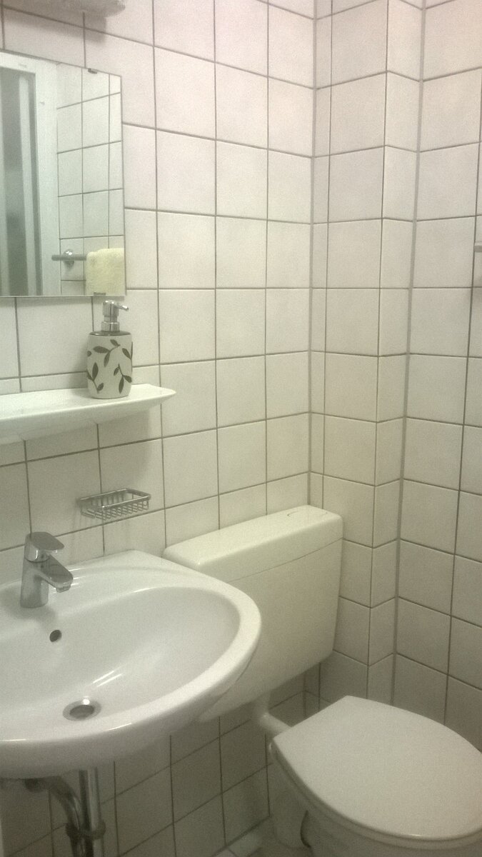 Санузел там же...Чтобы вы представили места общего пользования.