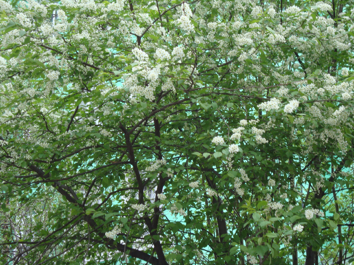 Фото автора.