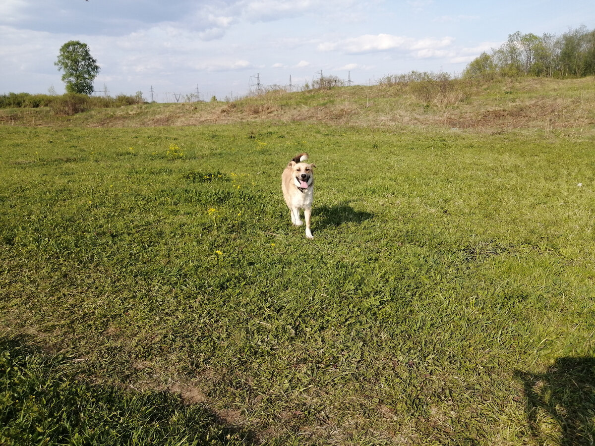 у Герды всегда улыбка до ушей