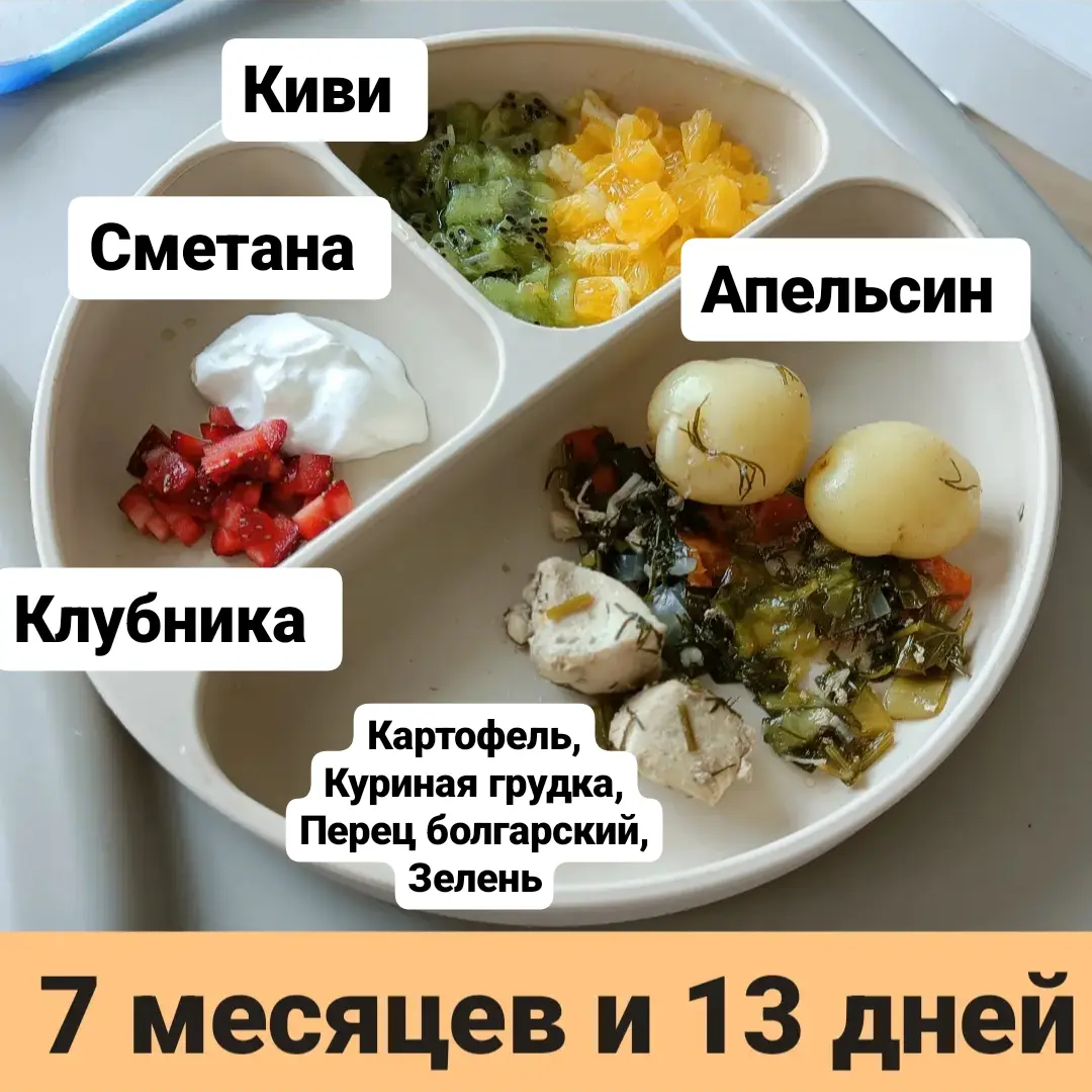 Пример тарелки 7 месяцев 