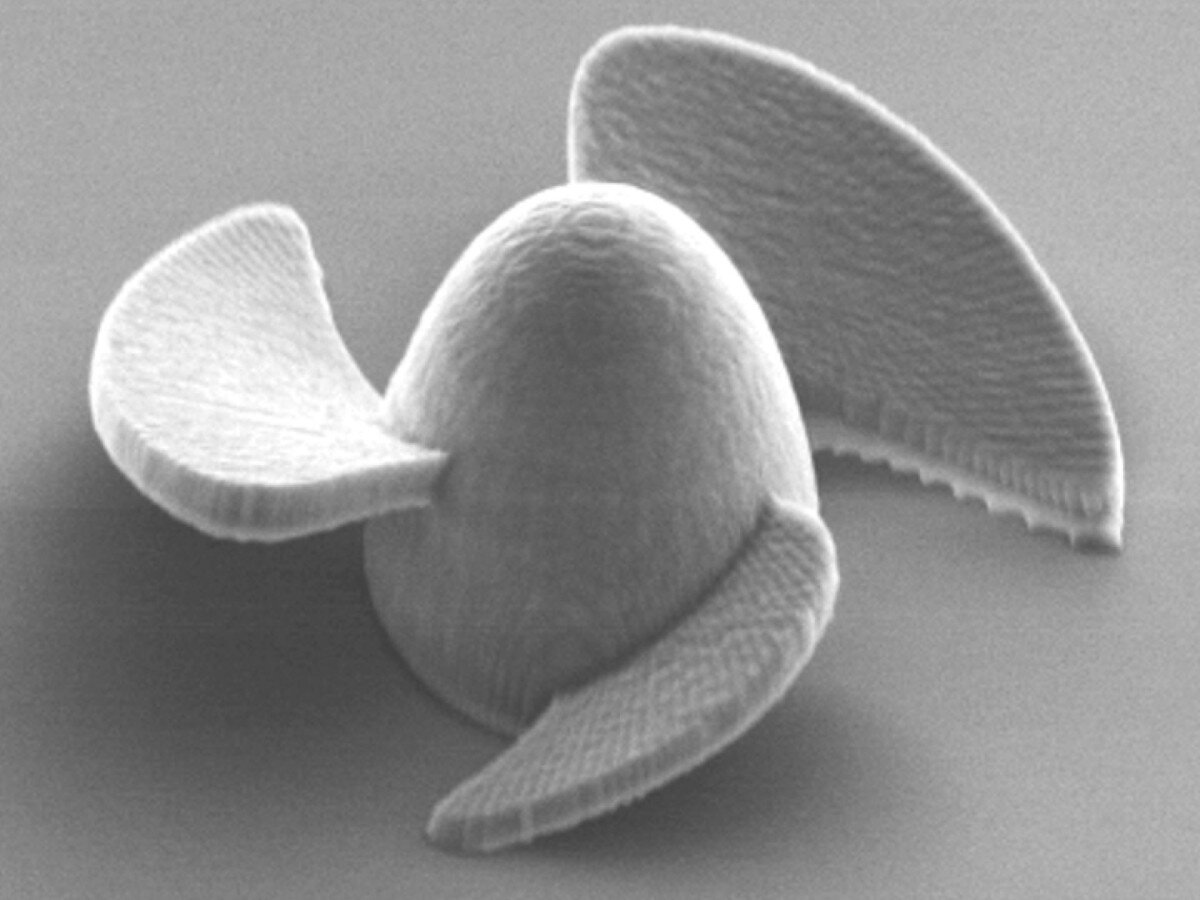    Микророботами размером с блоху можно управлять внутри тела