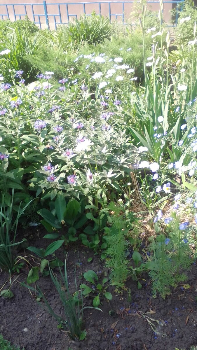 Сила - в знаниях