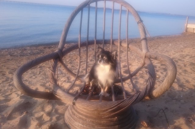    Где можно искупаться в Сургуте?