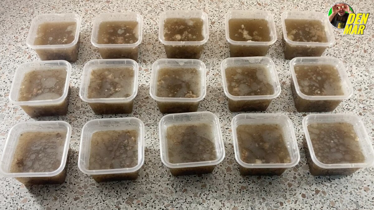 Концентрированный бульон в формах перед заморозкой