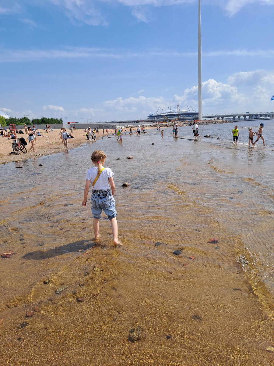 Финский залив