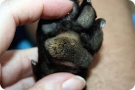 Фото с просторов 