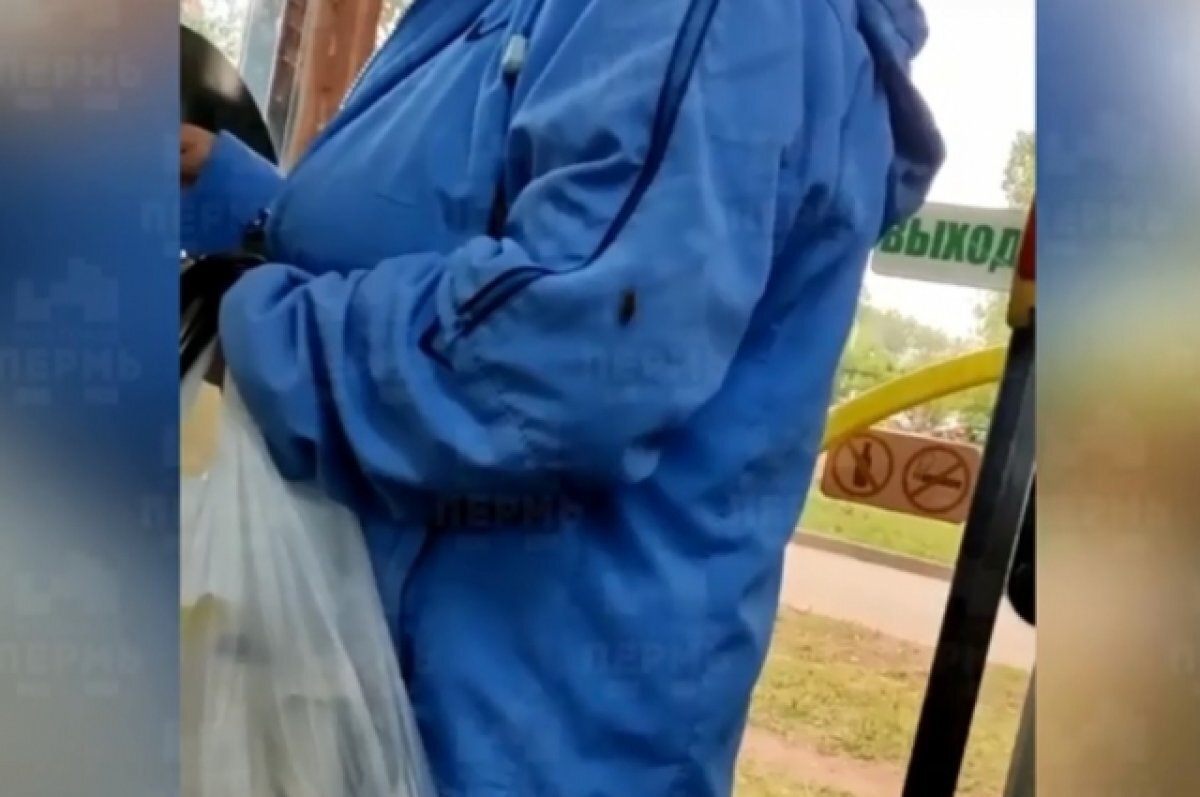    В автобусе в Перми сняли на видео женщину с роем тараканов на куртке