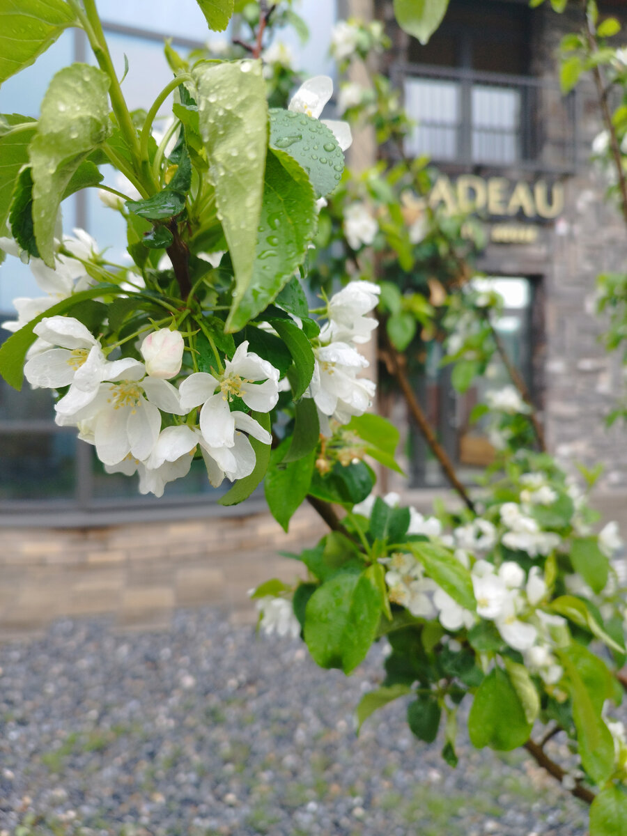 Фото из личного архива автора