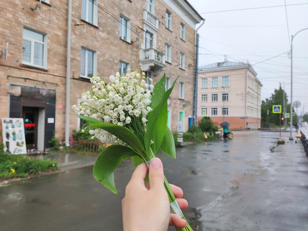    Ребёнок отравился ландышами в Москве, в Петрозаводске также растут ландышиМария Жилинская