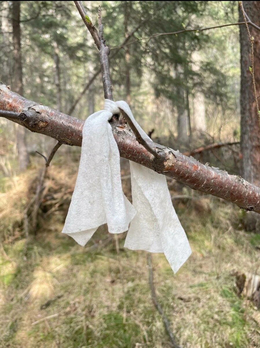 С просторов интернета 