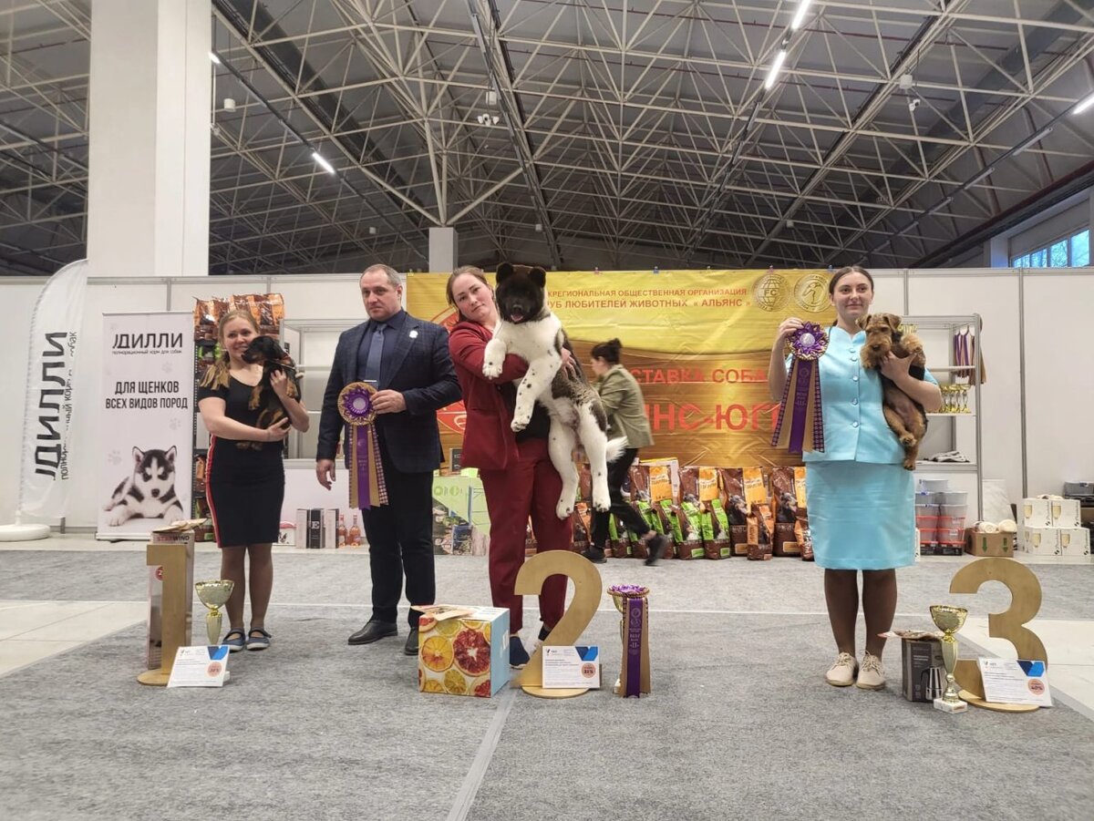    Кто такая венгерская выжла