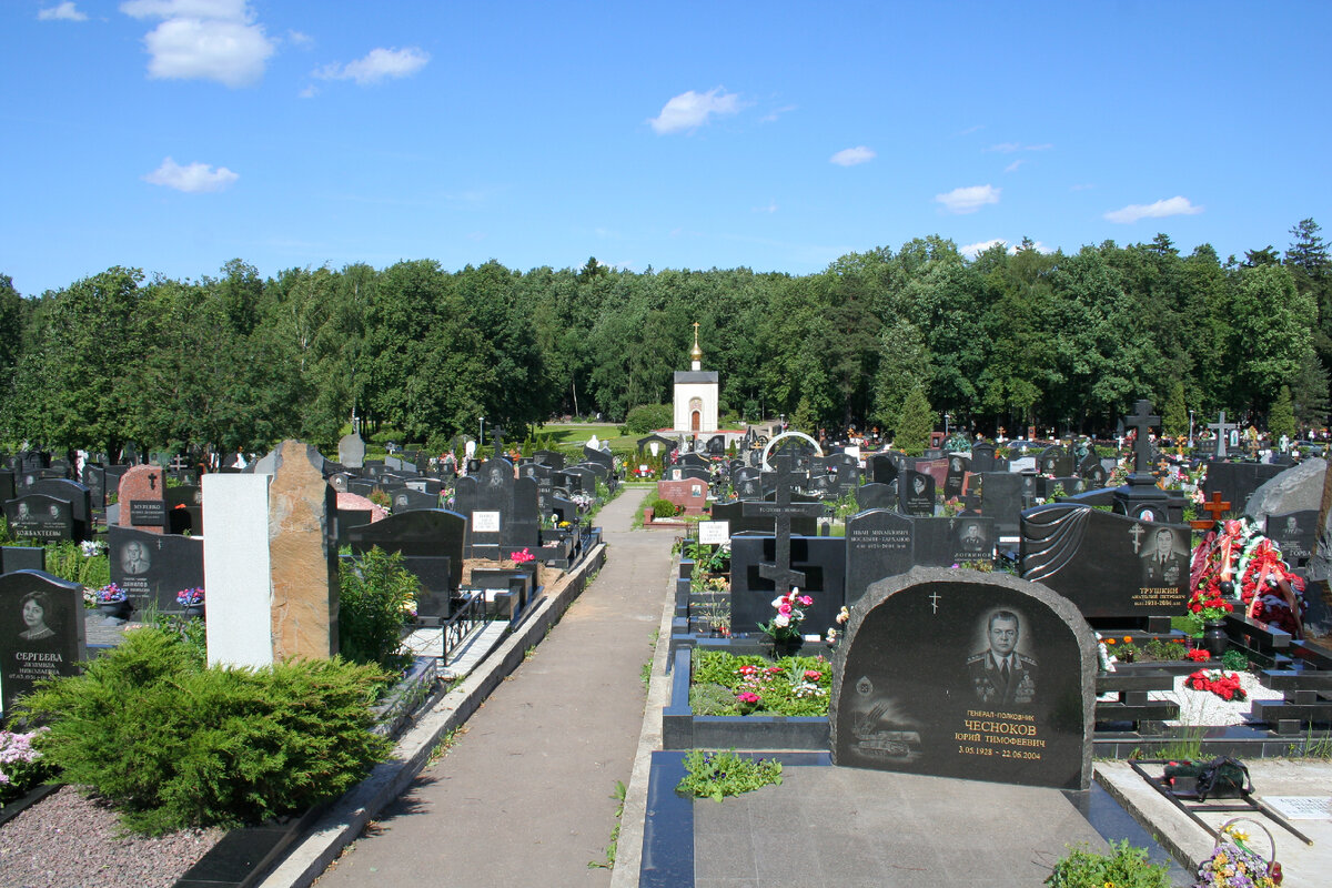Фото: Wikipedia.ru
