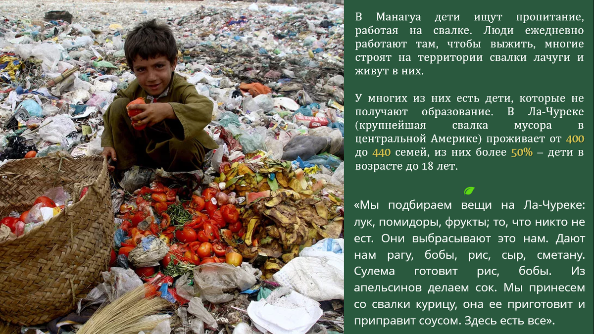 Как к 2050 году человечество может отказаться от привычного мяса