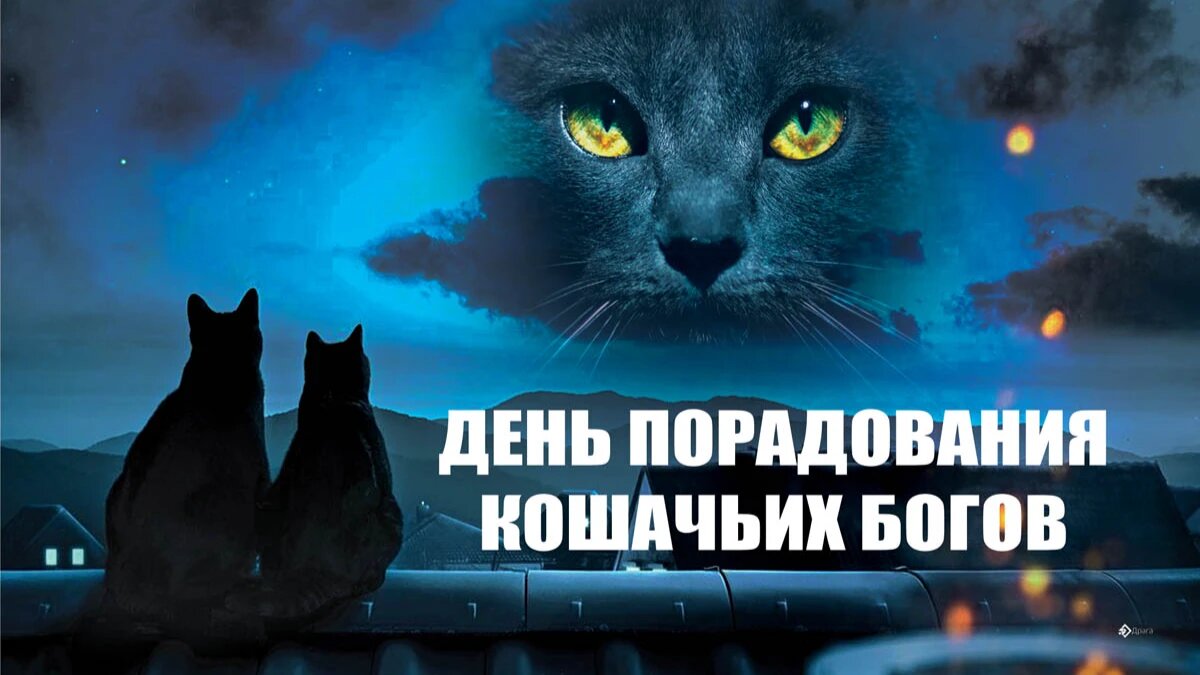 День порадования кошачьих богов. Иллюстрация: «Весь Искитим»
