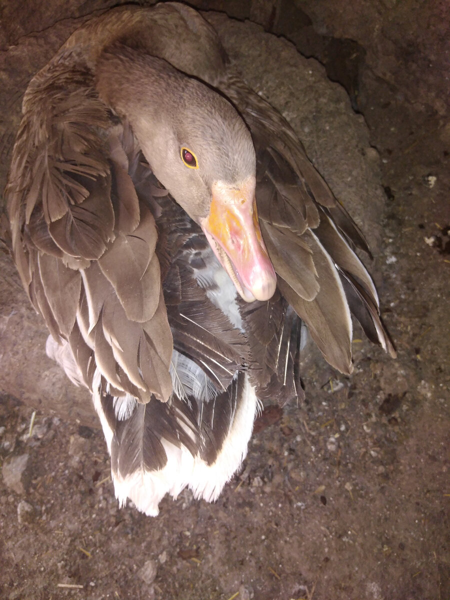 Тебе чего😅. 