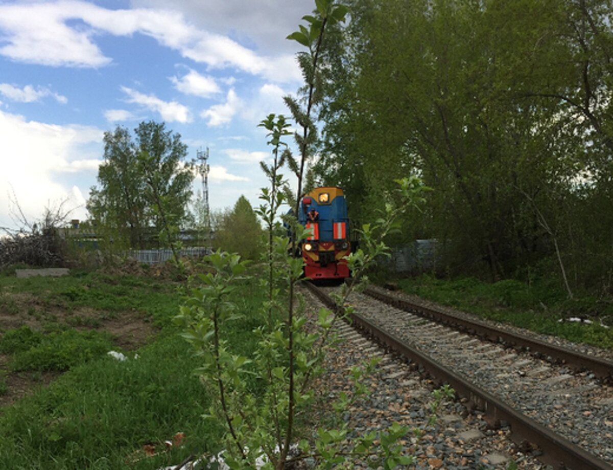 Примерно так и подкрался немецкий Желдор к Трумэну.