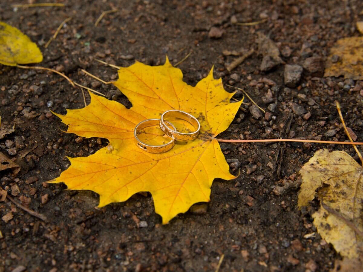    Обручальные кольца© Fotolia / Anna ART