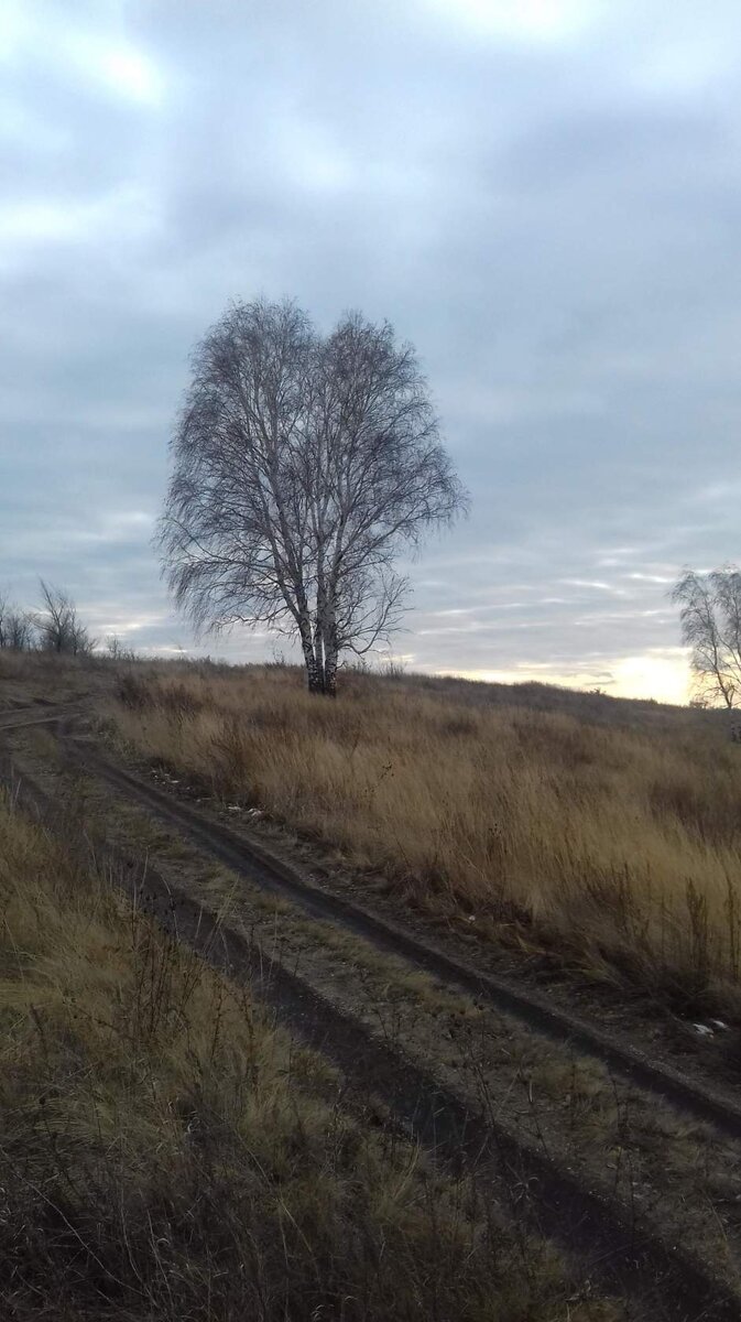Дорога к логу. Фото с личного архива. 