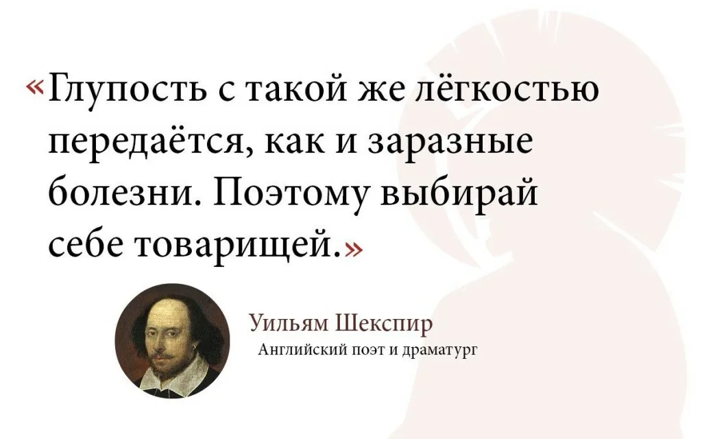 Картинка о глупых людях