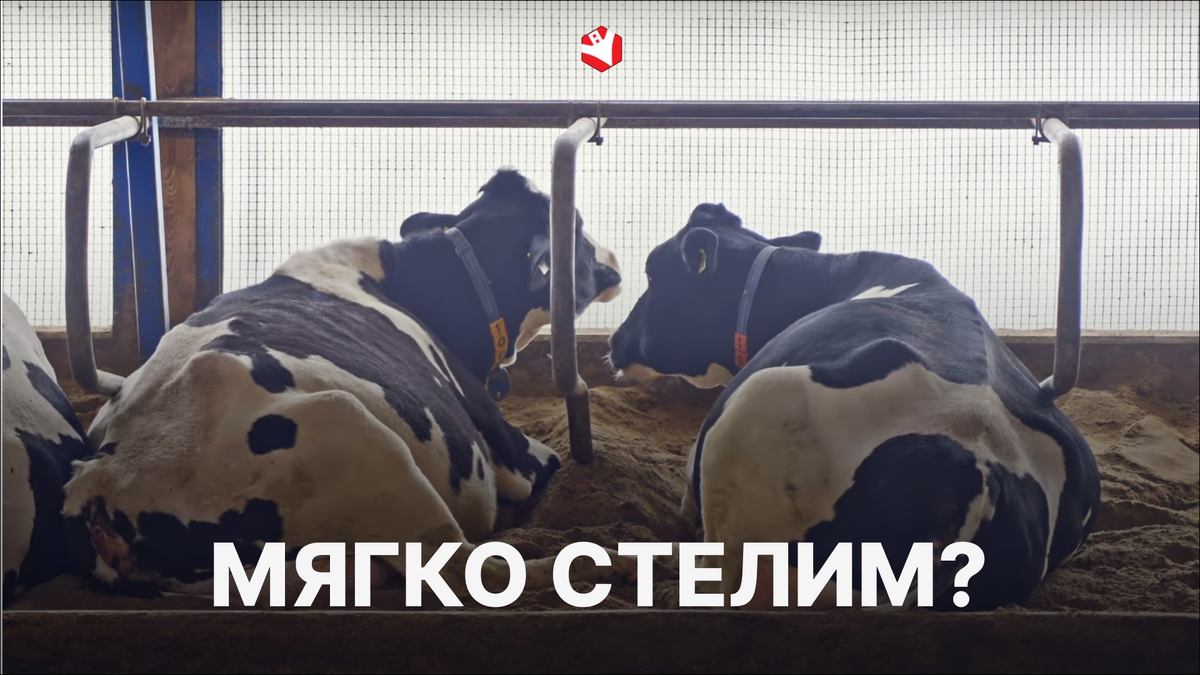 Кадр из выпуска канала "Культиватор" 