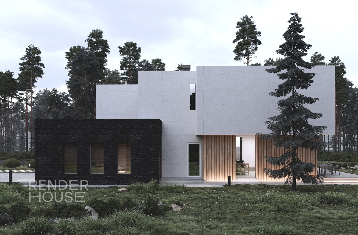 Проект ГОЛЬФ-ЗАВИДОВО, Render House 