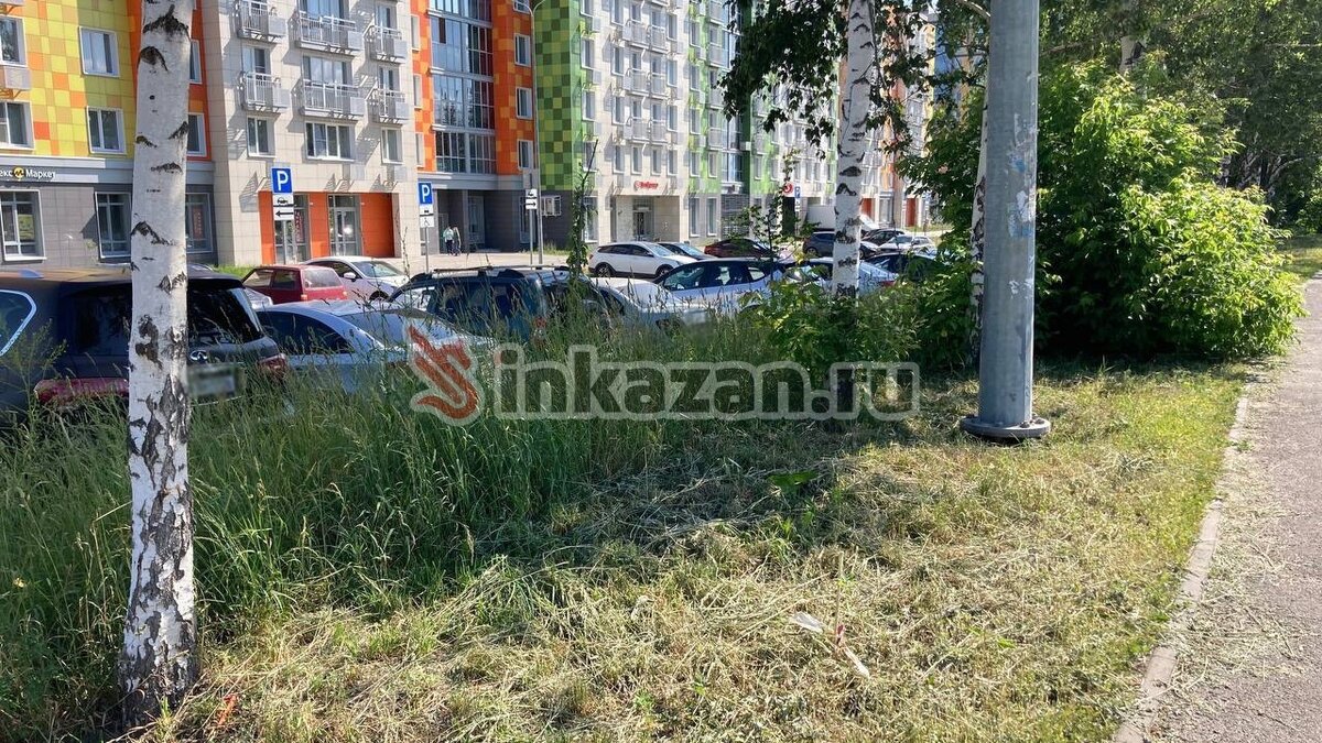     Жителей дома №4Д по улице Тэцевская в Казани смутило, как сотрудники коммунальных предприятий скосили траву. Своим недовольством они поделились с Inkazan.