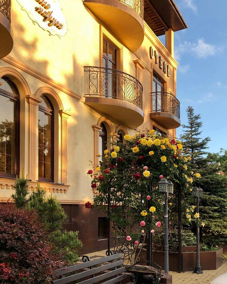 Арка увитая розами