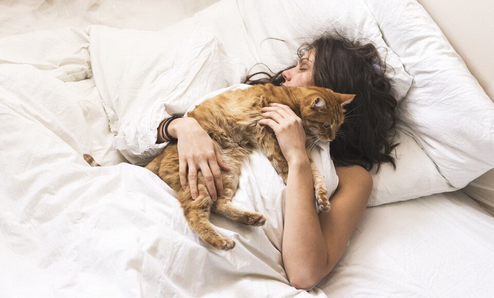 Ваш питомец может покинуть вас, если ему будет некомфортно или неуютно